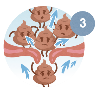 Faeces is pushed up into the rectum valve.