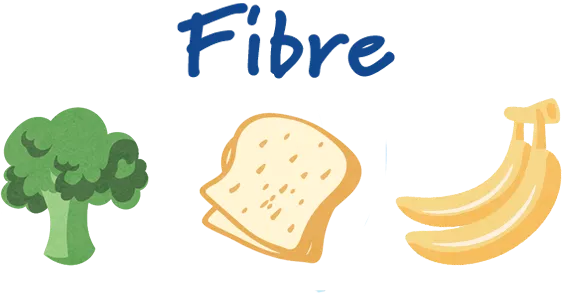 Fibre