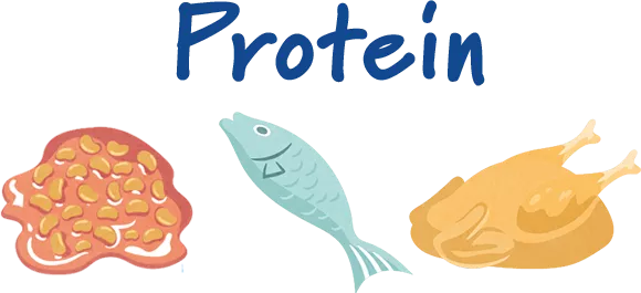 Protein