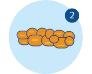 constipation_7_2_functionalconstipation1_0