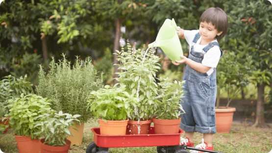 article_cultivating