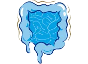 protectingdigestive_1_1_digestivesystem_0 (1)