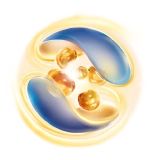 frisogold_locknutri