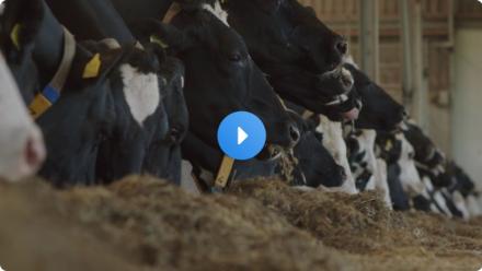 Maurice ; The Farmer Who Chooses The Natural Way (2nd Generation Farmer)