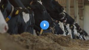 Maurice ; The Farmer Who Chooses The Natural Way (2nd Generation Farmer)