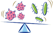 colic_5_2_probiotics