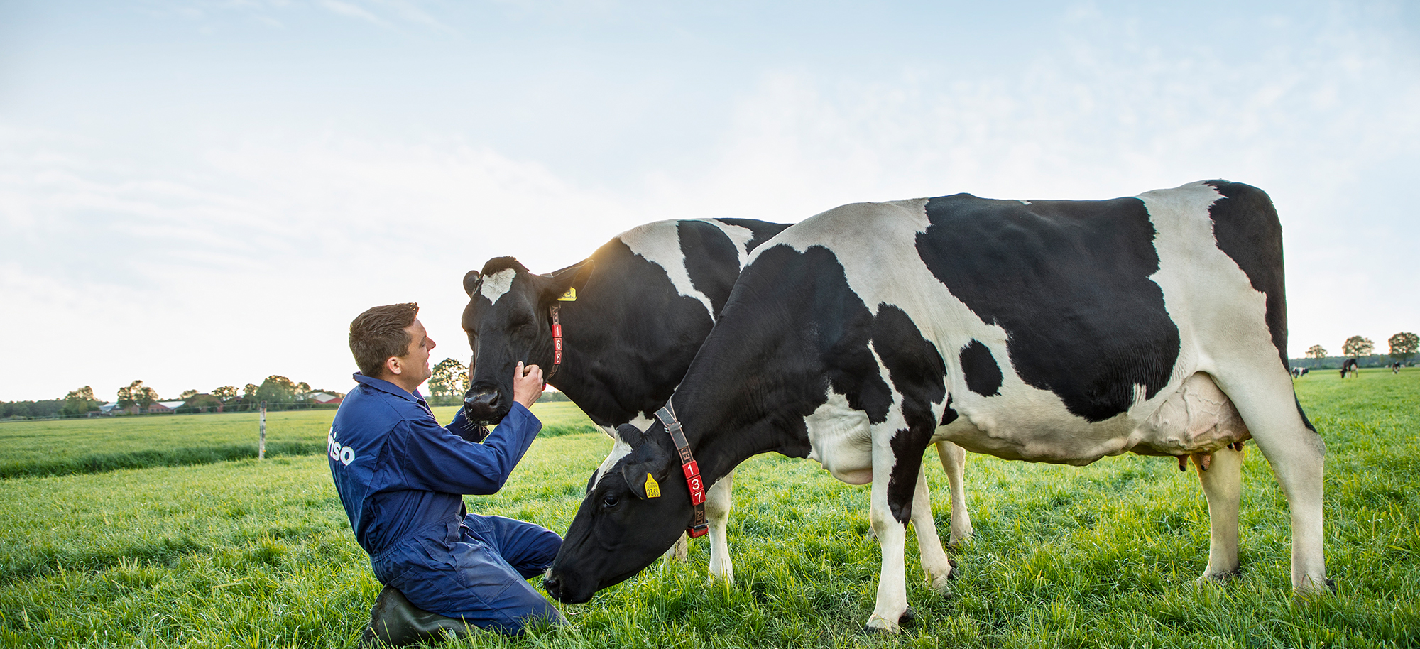 Pasture Raised Guide For The Love Of Milk Friso