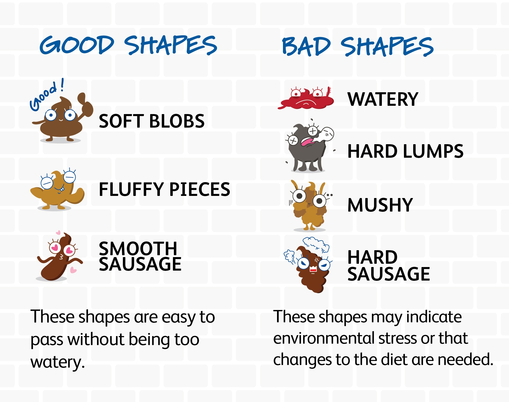 Identifying good and bad poop for your children