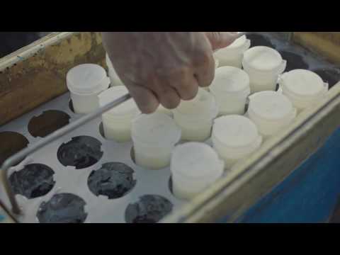 FRISO - Henk ; The Truck Driver You Can Count On