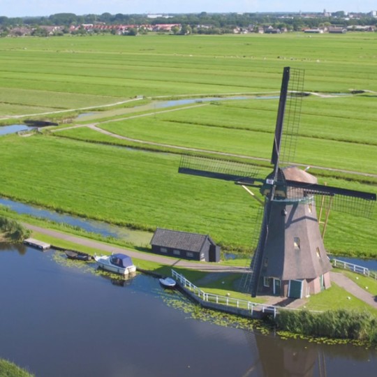 Netherlands Farm
