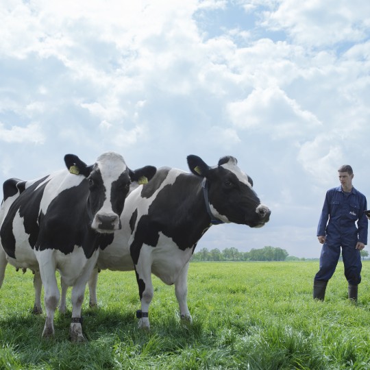 Farmer and Dairy Scienctist