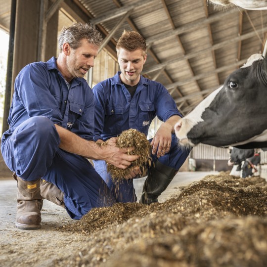 Farmers customised feeds