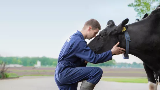 Farmer Visual