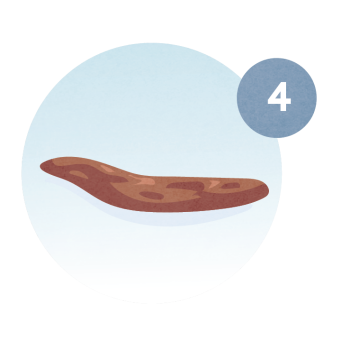 Type 4: Looks like a sausage or snake, and is soft and smooth