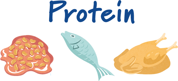 Protein