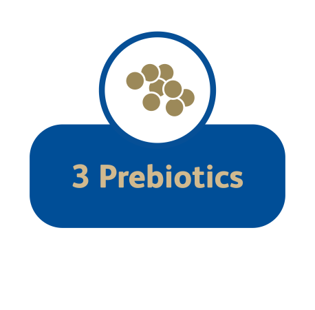 prebiotics icon