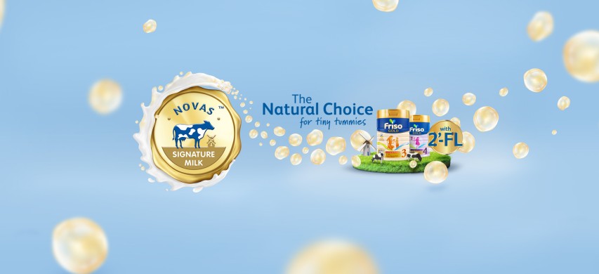 Friso LN2.5 with 2FL Wireframe Novas